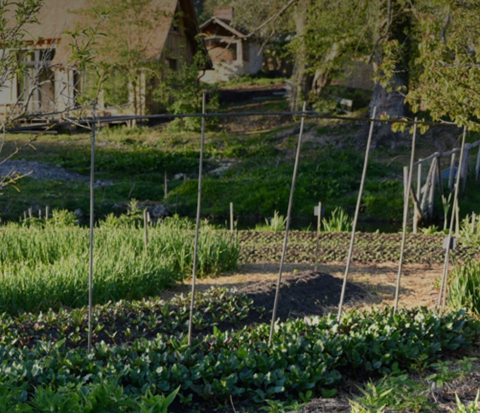 Jardin de la microferme du Bec Hellouin