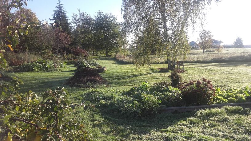 Terrain est automne b