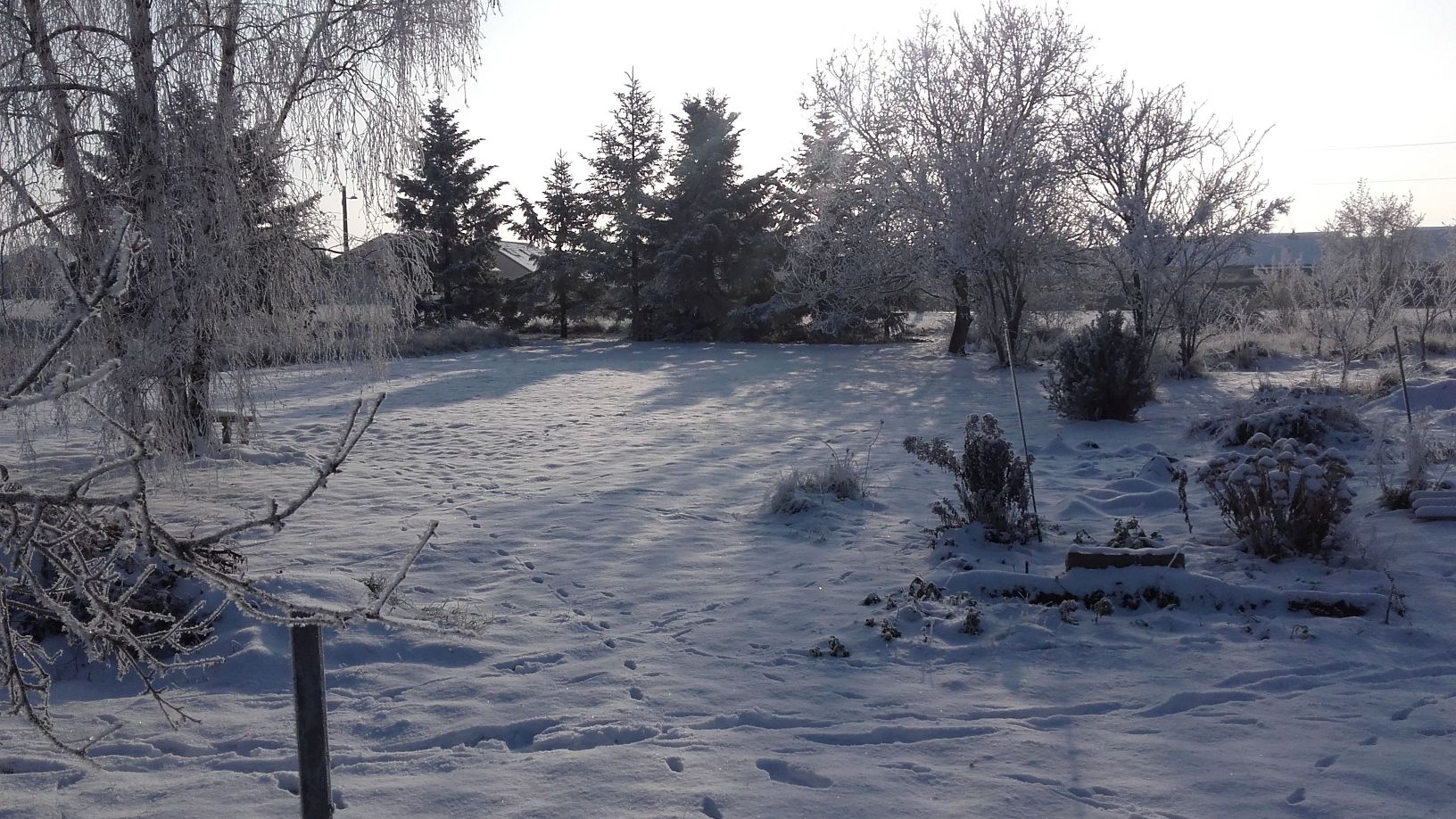 Terrain hiver vue sud